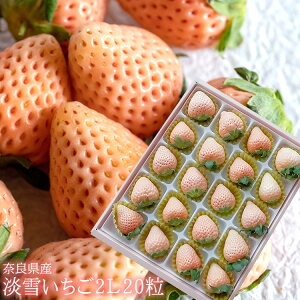 12{蔭Jn WsN̊󏭕i ޗǌY [WႢ2L20] 䂫 j oYj av[g j   Cj  yYMtg StRyi