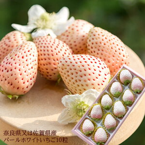 P󏭕i̔ [p[zCgL10] ޗǌ܂͍ꌧY j oYj av[g j   Cj  yYMtg StRyii 