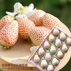 P󏭕i̔ [p[zCgL15] ޗǌ܂͍ꌧY j oYj av[g j   Cj  yYMtg StRyii 