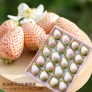 P󏭕i̔ [p[zCgL20] ޗǌ܂͍ꌧY j oYj av[g j   Cj  yYMtg StRyii 