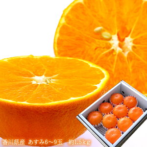 󏭕i x15xȏ ݂͂̎q 쌧Y [1.5kg] 5~9  j oYj av[g j   Cj  2{甭Jn