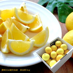  S[fIW ݂ ̂悤ɉF̂Ɍ\Â󏭂Ȋk [1kg] 3{̔@i̓ʔɏL܂B 3{납̏i