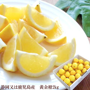  S[fIW ݂ ̂悤ɉF̂Ɍ\Â󏭂Ȋk [2kg] 3{̔@i̓ʔɏL܂B 3{납̏i