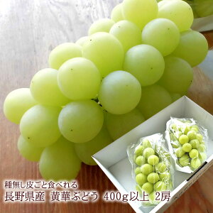 hV̓Mtgɂ΂܂ Ԃǂ uhE  ˂Ȃ 쌧Y؂Ԃǂ 햳Ŕ炲ƐHׂ VC}XJbgfR 쌧Y [؂Ԃǂ2[]  }X