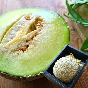 Ε ~Mtg }XN  }XN  j  t[cMtg Mtg }XN mY}XN [ ʑ`1 ] 