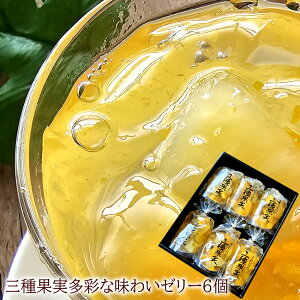 ~ ~  t[c[[ ̂邨 T[t[c[[ [݂pC3[[6] pCibv pCAbv j oYj av[g j