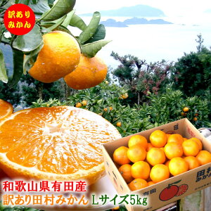 ݂ 󂠂 󂠂c݂ Lc݂ Lc~J Lc ݂ c݂  [Lc݂L5kg]11{蔭Jn