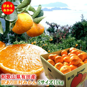 ݂ 󂠂 󂠂c݂ Lc݂ Lc~J Lc ݂ c݂  [Lc݂S10kg]11{蔭Jn