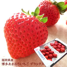 12月初旬より順次発送開始 あまおういちごギフト 苺ギフト イチゴ福岡県産あま〜い大粒いちご [あまおうDX 2パック] あまおう苺 内祝い お祝い お見舞い お供え フルーツギフト 手土産 出産内祝い