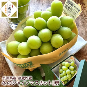 VC}XJbg Ε NX}X ①VC}XJbg 햳Ԃǂ 쌧Y [~̃VC1[]