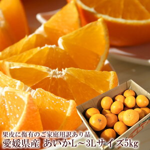 󂠂 ܂ǂ g܂ǂȂƓi QY [󂠂肠5kg] ƒp 󂠂 g܂ǂ Q܂ǂ P܂ǂ Q܂ǂ  [Ή