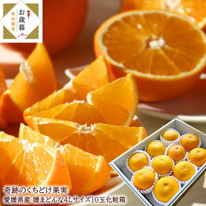 Ε p g܂ǂȓi  Q܂ǂ ܂ǂ  QY [ Q܂ǂ4L10ʊS ] d t[c Ε  Q݂ g܂ǂ Ε