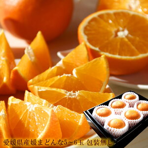  ̂Ήs g܂ǂȓi  Q܂ǂ ܂ǂ QY [ Q܂ǂ5~6ʕ ] t[c  Q݂ g܂ǂ