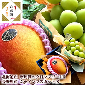 Ε ~Mtg n}S[ kC̃}S[ VC}XJbg [ ΂̗[ƃVC ]