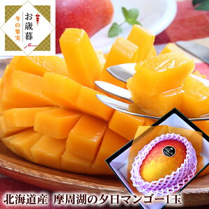 Ε~Mtg n}S[ kC̃}S[ [΂̗[1]