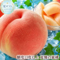 お中元 ギフト 桃 桃ギフト 高糖度の桃 白桃 夏雅の蜜桃 送料無料 お中元 暑中見舞い 残暑見舞い