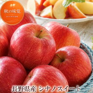 シナノスイート りんご 長野県産 秀品 約300g 大玉 ギフト 贈答用 高糖度 林檎 リンゴ 秋の味覚 お取り寄…