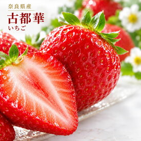 奈良県産 古都華 いちご 苺 ブランド苺 ギフト 贈答用 お歳暮 冬ギフト クリスマス 御歳暮 内祝い お祝い プレゼント 高級フルーツ