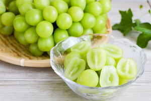 yzRY VC}XJbg 1.5kgȏ