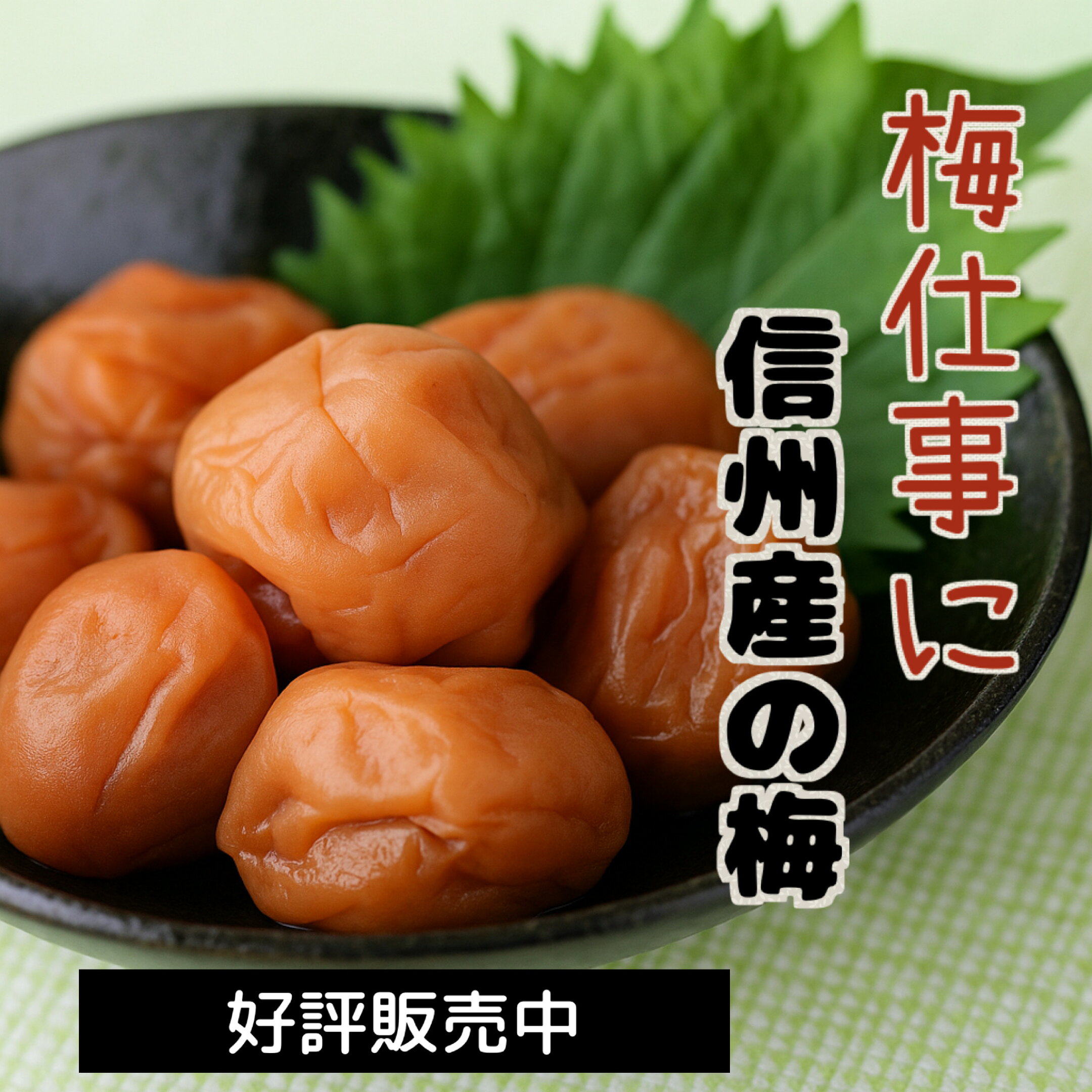 信州産梅特集