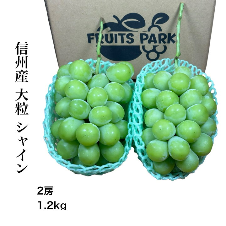 楽天市場】信州産 大粒シャインマスカット 秀品 3L 1.2キロ 2房 