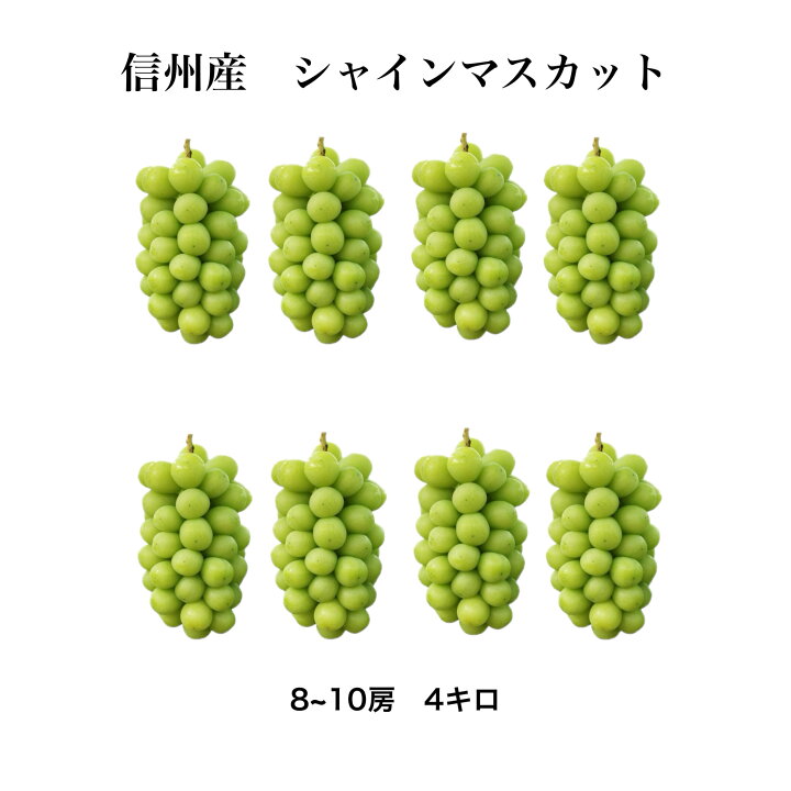 楽天市場】信州産 シャインマスカット 秀品 8~10房 4キロ マスカット 