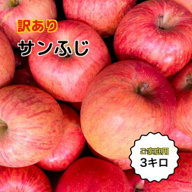 信州産 サンフジ 訳あり 3キロ ご家庭用に 長野より産地直送
