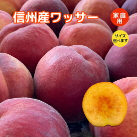ワッサー 桃 ネクタリン ちょっと訳あり 自家消費用 信州産 送料無料