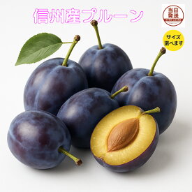 信州産　生プルーン　クール便無料