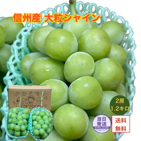 大粒シャインマスカット 秀品 3L 1.2キロ 2房 信州産 送料無料 贈り物に