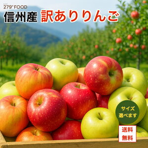 MBY {̂ 󂠂 ƒp TCYIׂ܂