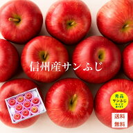 信州産 りんご サンふじ 秀品 贈り物 贈答に 即日発送可 送料無料