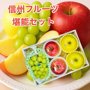 MBt[c\Zbg Mtg Εɂ ̂