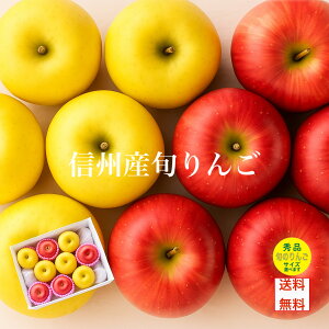 {̂ Hה׃Zbg ܂3i   Mtg