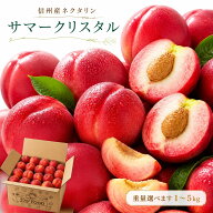 ネクタリン 「サマークリスタル」信州産 クール便無料