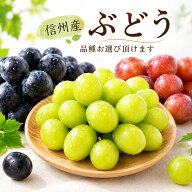信州産 ぶどう ご家庭用 ぶどう粒 300g 4パック 1.2キロ 送料無料 品種お選びいただけます