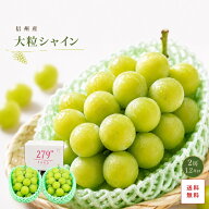敬老の日 大粒シャインマスカット 3L 1.2キロ 2房 信州産 送料無料 のし名入れ対応可