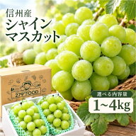 シャインマスカット ぶどう 信州産 送料無料 内容量選べます！