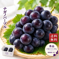 信州産 ナガノパープル 秀品 産地直送 内容量選べます！【送料無料】