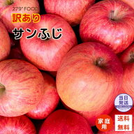 セール！ 即日発送可 信州産 サンフジ りんご 訳あり ご家庭用 生食用 送料無料 重量お選びいただけます！
