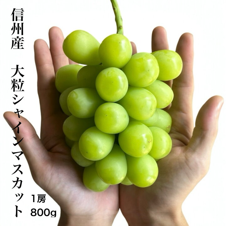 楽天市場】信州産 特選シャインマスカット 1房 800g 秀品 : FRUITSPARK