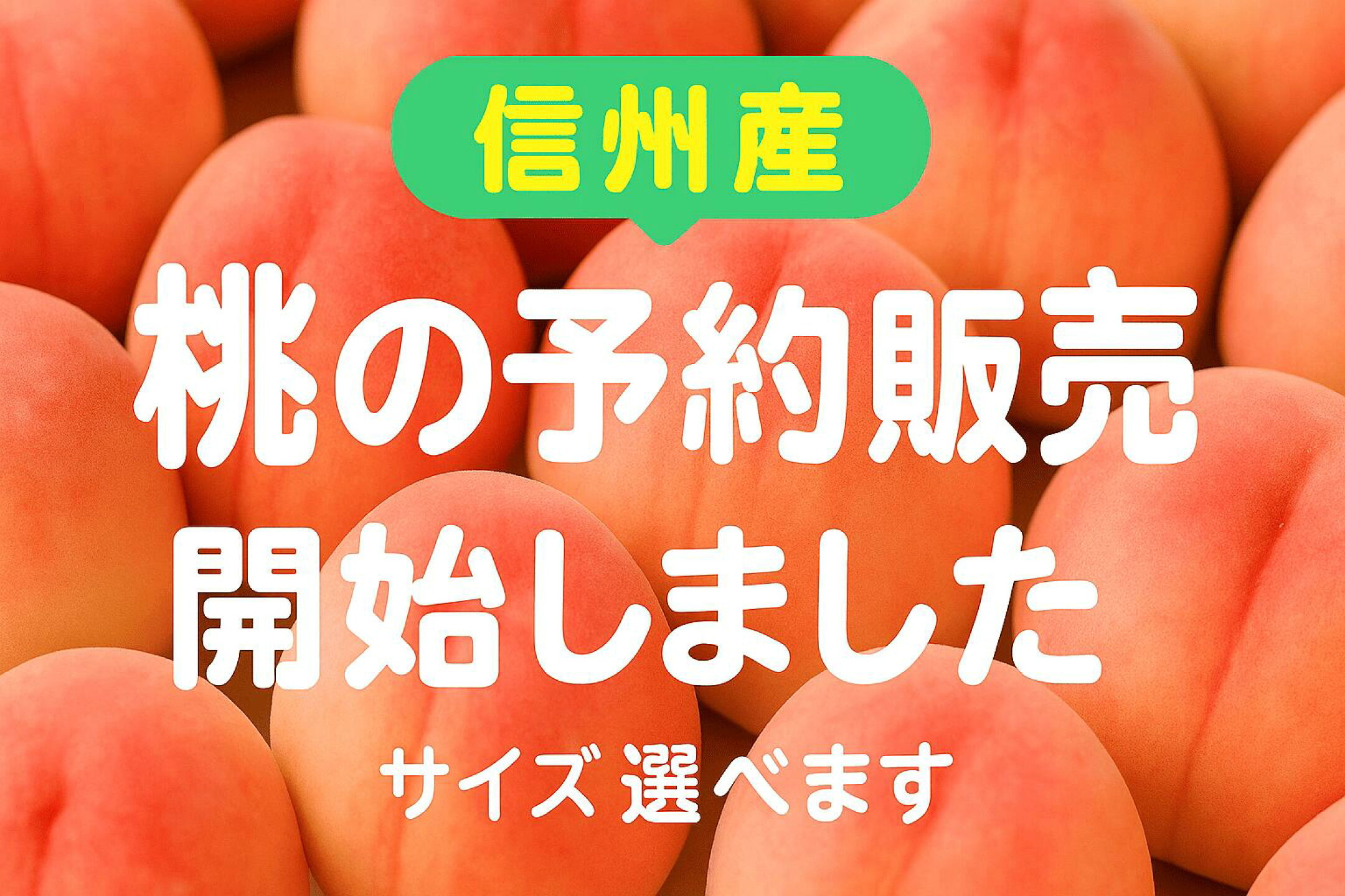 桃の予約開始しました！