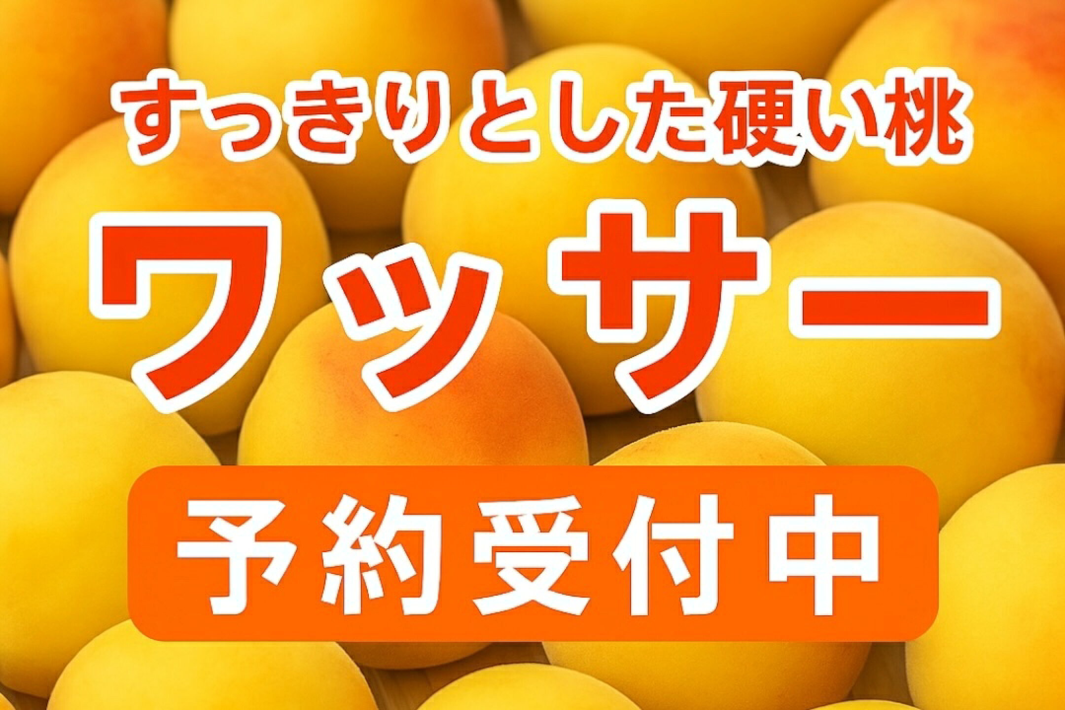 大人気ワッサー予約開始！