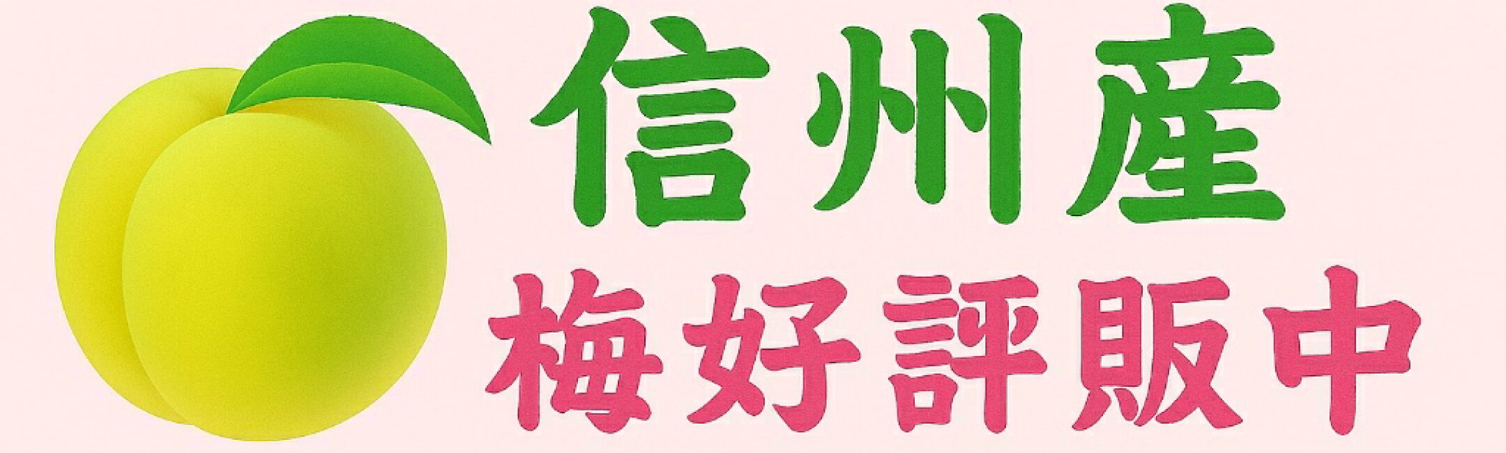 梅好評販売中！