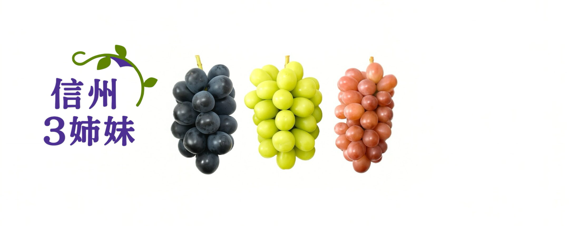 ぶどう開始しました！