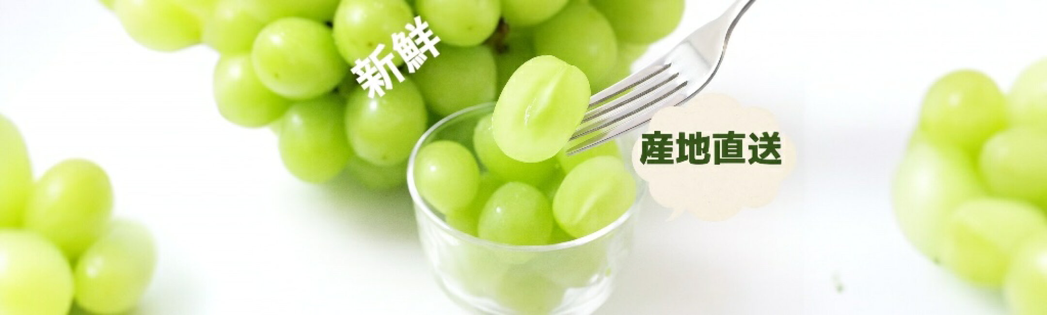 ぶどう開始しました！