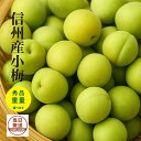 秀品 小梅 青梅 信州産