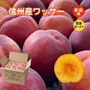 ワッサー 桃 ネクタリン 家庭用ギフト 訳あり 送料無料 ちょっとした贈り物 お中元