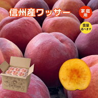 ワッサー 桃 ネクタリン 家庭用ギフト 訳あり 送料無料 ちょっとした贈り物 お中元
