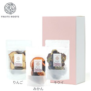 yP5{ 11/1z t[c[c hCt[c VR `R[g |  LEC ݂ L@JJI IWFbg Y MtgΉ FRUITSROOTS